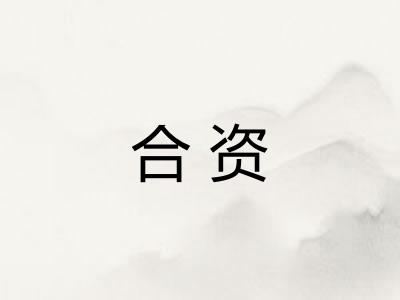合资 合资