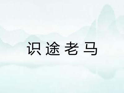 识途老马
