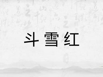 斗雪红