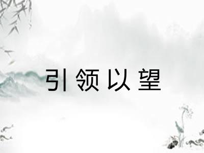 引领以望