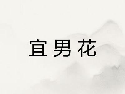 宜男花