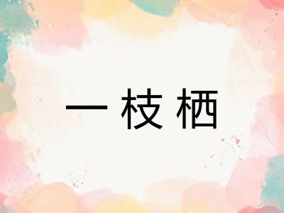 一枝栖