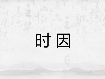 时因