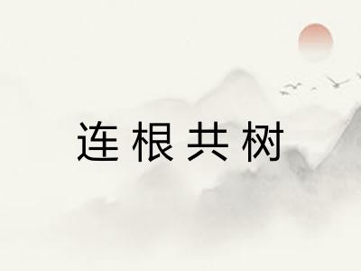 连根共树