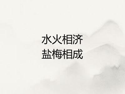 水火相济盐梅相成