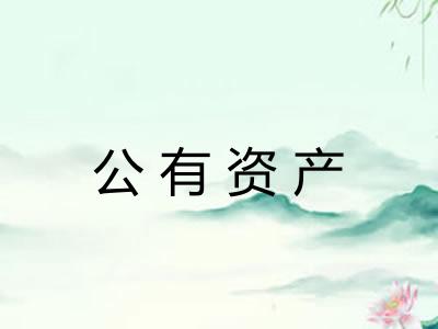 公有资产