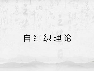 自组织理论