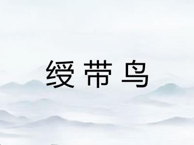 绶带鸟