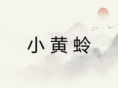 小黄蛉