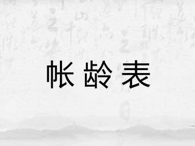 帐龄表 帐龄表