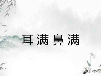 耳满鼻满 耳满鼻满