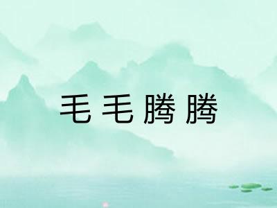 毛毛腾腾
