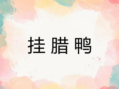 挂腊鸭 挂腊鸭
