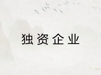 独资企业