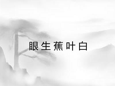 眼生蕉叶白 眼生蕉叶白