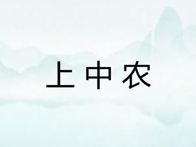 上中农 上中农