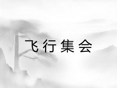 飞行集会