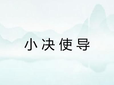 小决使导