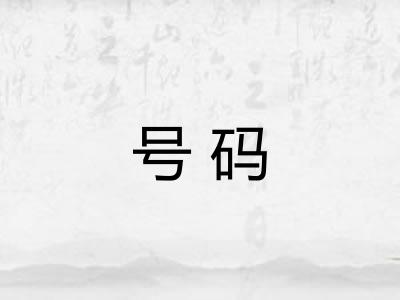 号码