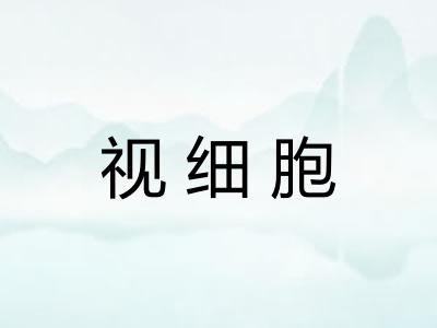 视细胞 视细胞