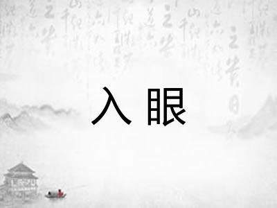 入眼
