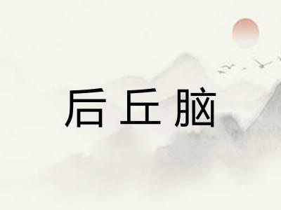 后丘脑
