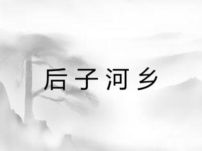 后子河乡 后子河乡