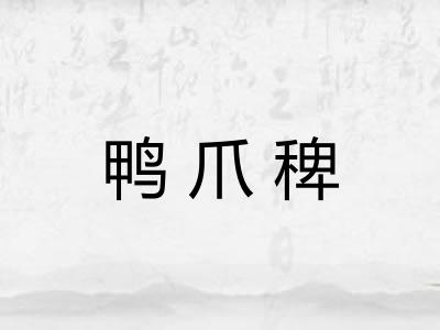 鸭爪稗