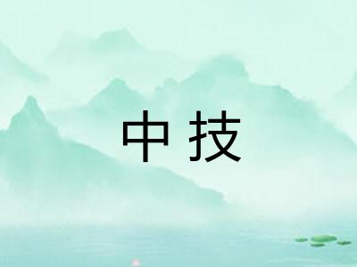 中技 中技