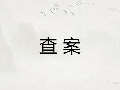 查案 查案