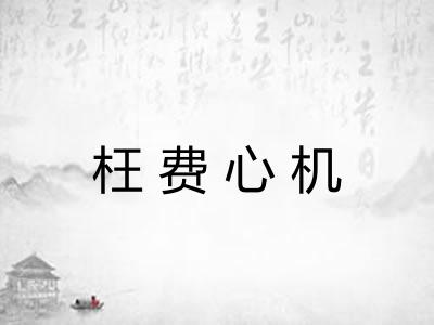 枉费心机 枉费心机