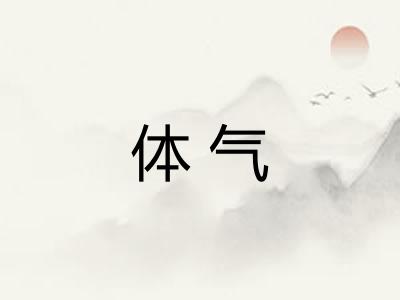 体气 体气