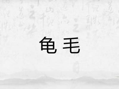 龟毛 龟毛