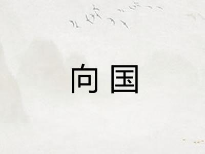 向国