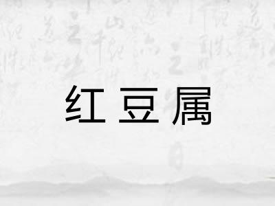 红豆属 红豆属