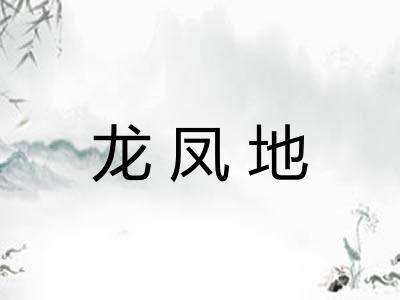 龙凤地