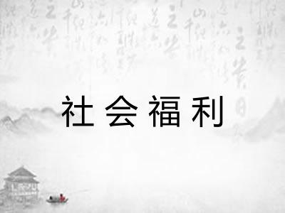 社会福利 社会福利