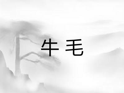 牛毛