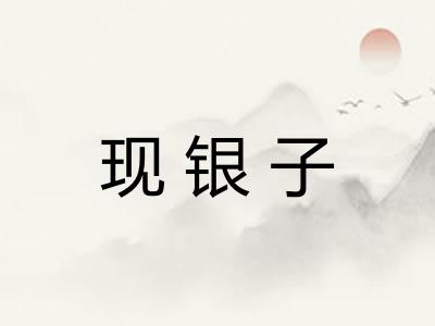 现银子 现银子