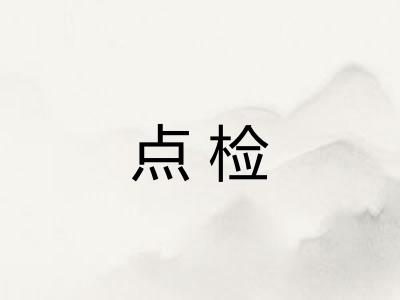 点检