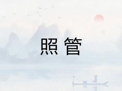 照管
