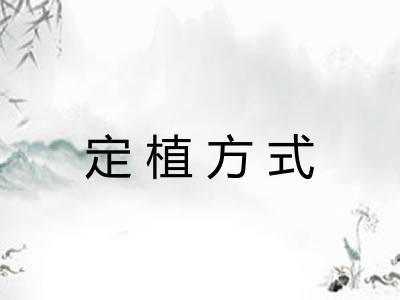 定植方式