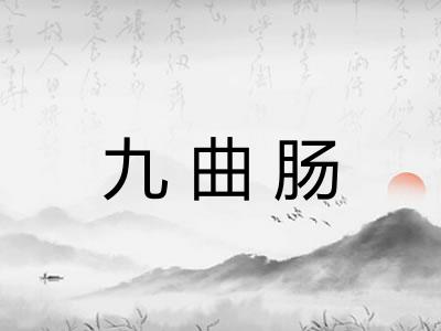 九曲肠