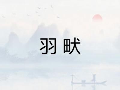 羽畎