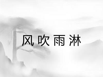 风吹雨淋 风吹雨淋