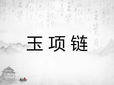 玉项链 玉项链
