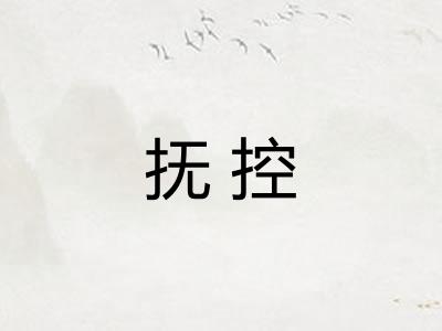 抚控