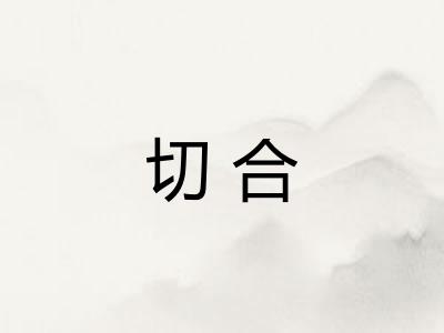 切合 切合