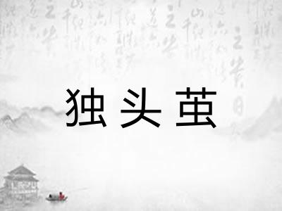 独头茧