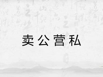 卖公营私